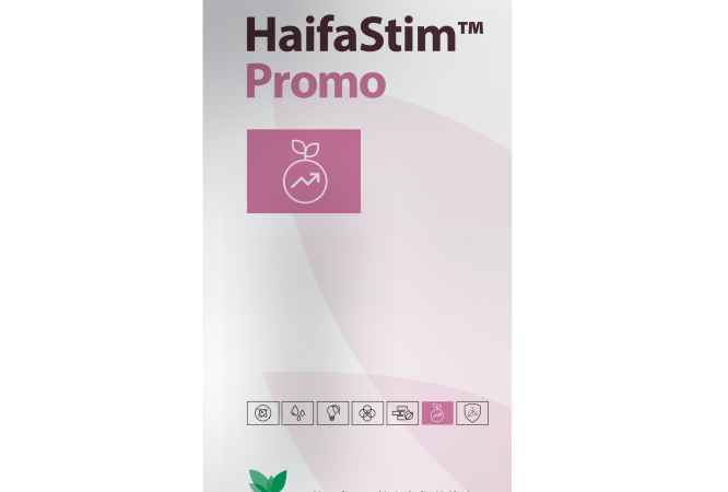 HaifaStim Promo